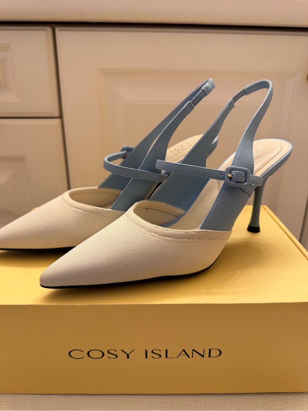 Cosy Island Two-Tone Pointed Slingback Heels in Cream and Light Blue